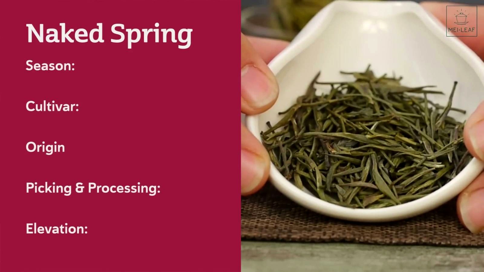 How Each Tea Tastes discussed in the video