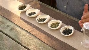 Do All Green Teas Taste the Same? discussed in the video
